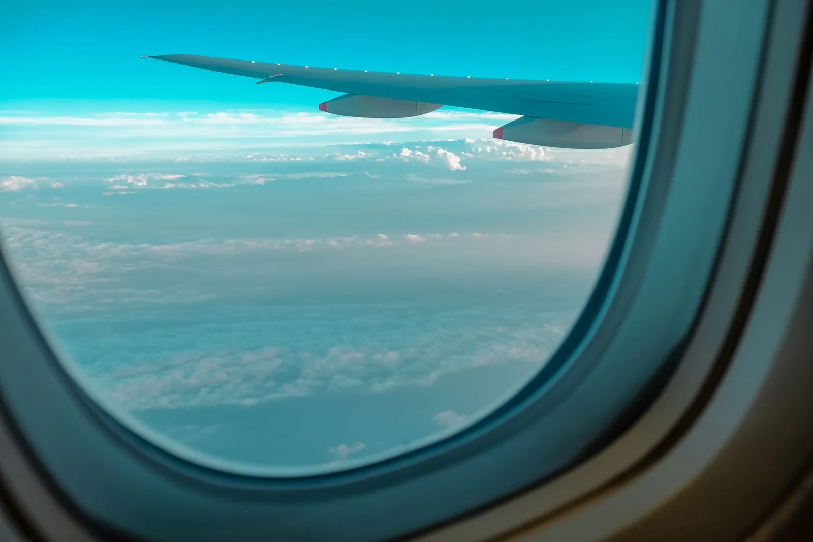 Flight price deals search results showing low fares